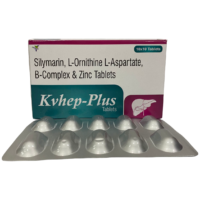 KVHEP PLUS