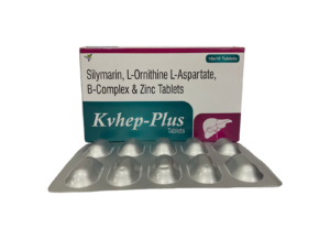 KVHEP PLUS