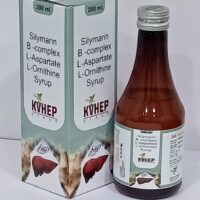 KVHEP-SYP